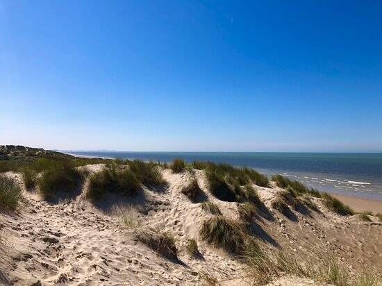 Lieu : Reserve Naturelle Dune Marchand