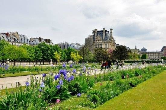 Jardin des Tuileries Paris I