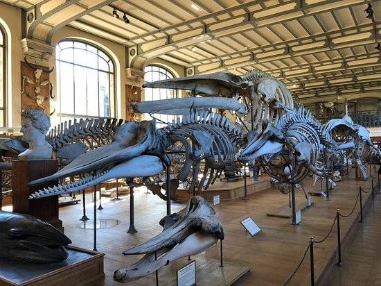 Muséum National d'Histoire Naturelle