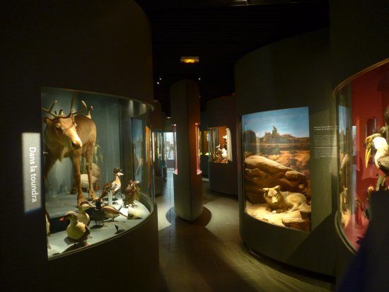Muséum d'Histoire Naturelle