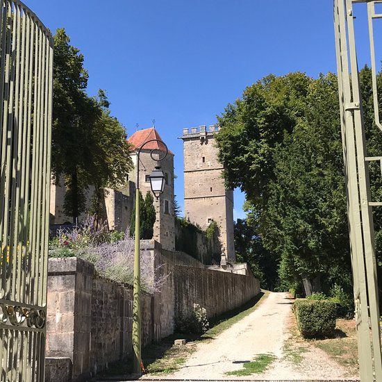 Musée et Parc Buffon