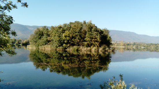 Lac de Divonne
