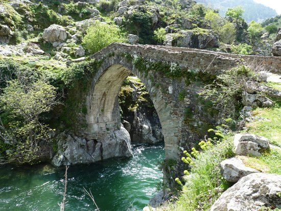 Lieu : Gorges de l'Asco