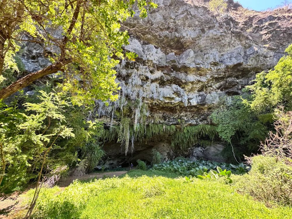 Grotte du Peuplement