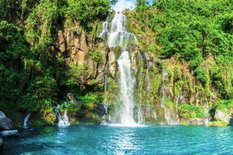 Bassin des Aigrettes