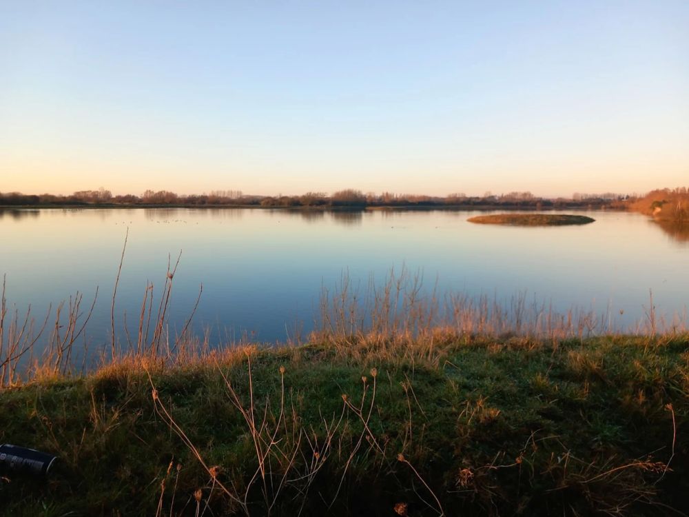 Observatoire ornitho Conchil