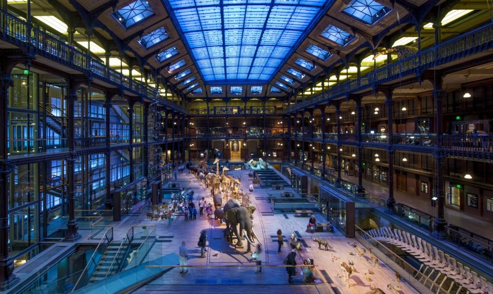 Lieu : Grande Galerie de l'Évolution - Muséum national d'histoire naturelle