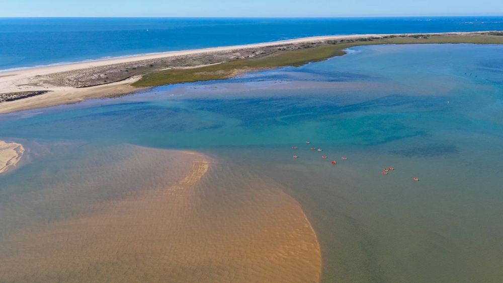Lieu : Base Nautique La Palmyre