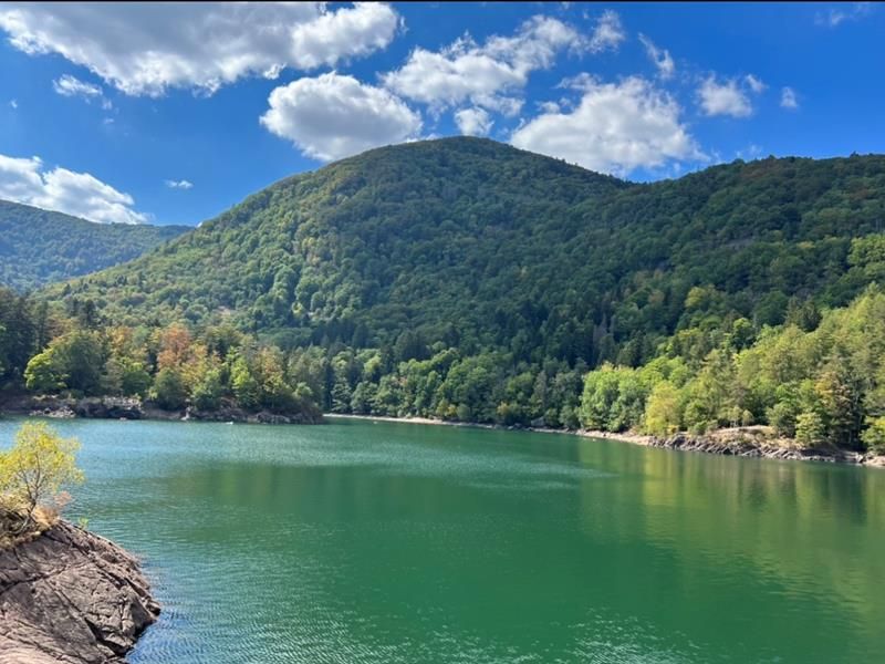 Lieu : Lac d'Alfeld