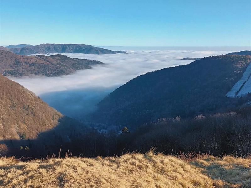 Lieu : Le Ballon d'Alsace