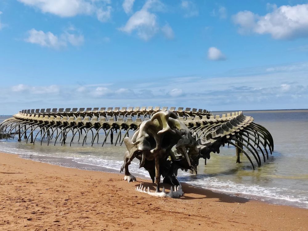 Lieu : LE SERPENT D'OCÉAN