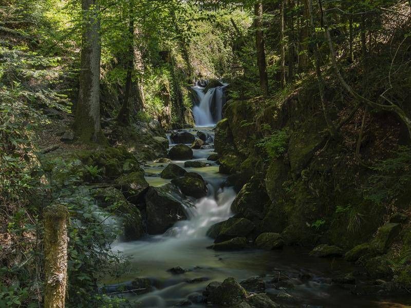 Lieu : Cascade du Gehard