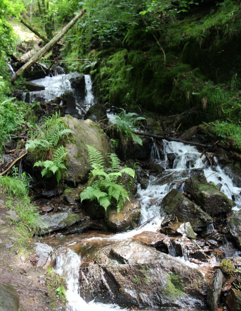 Lieu : Cascade de la crache