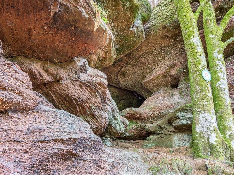 Lieu : Grotte de Danne