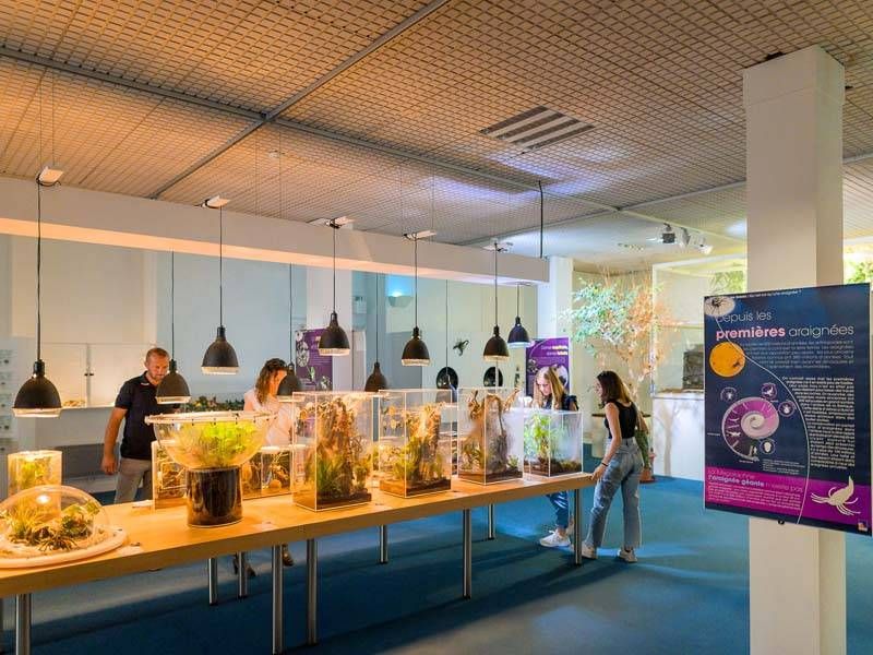 Muséum d'Histoire naturelle