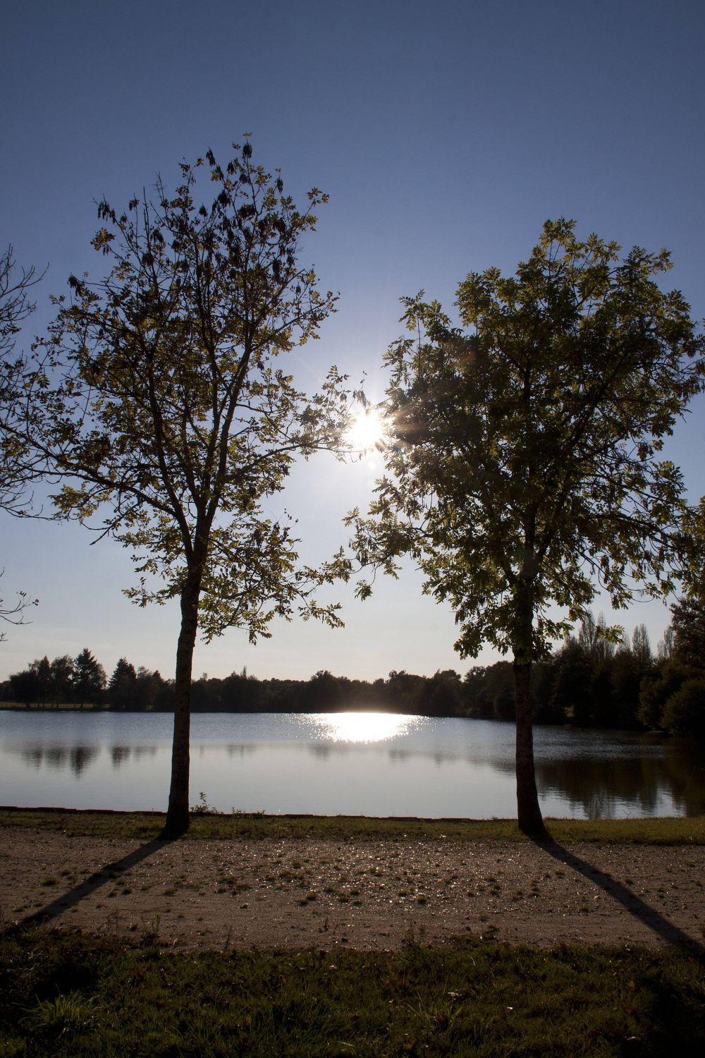 Etang de la Plancherotte