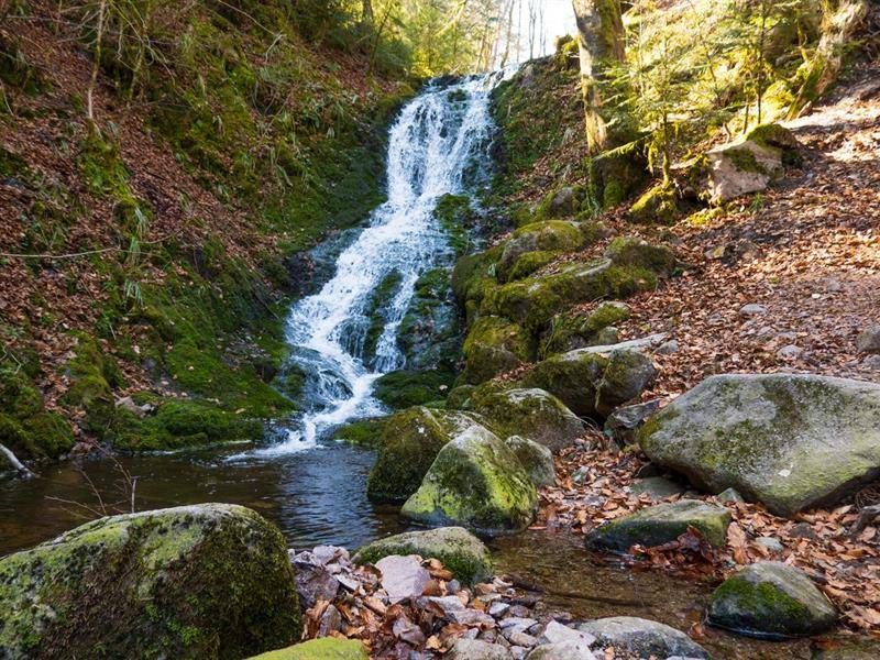 Lieu : Cascade du cuisinier