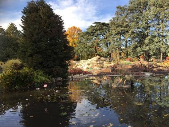 Lieu : Parc de la Tête d’Or