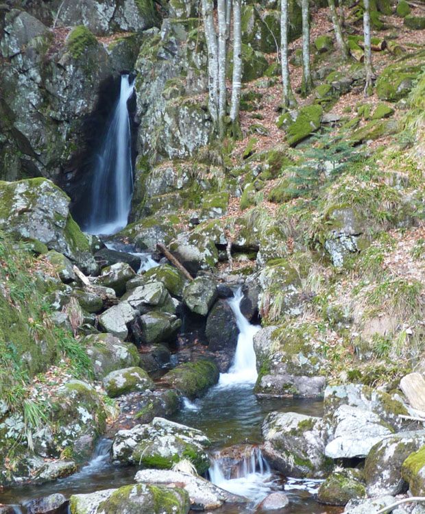Lieu : Cascade du Saut de la Truite