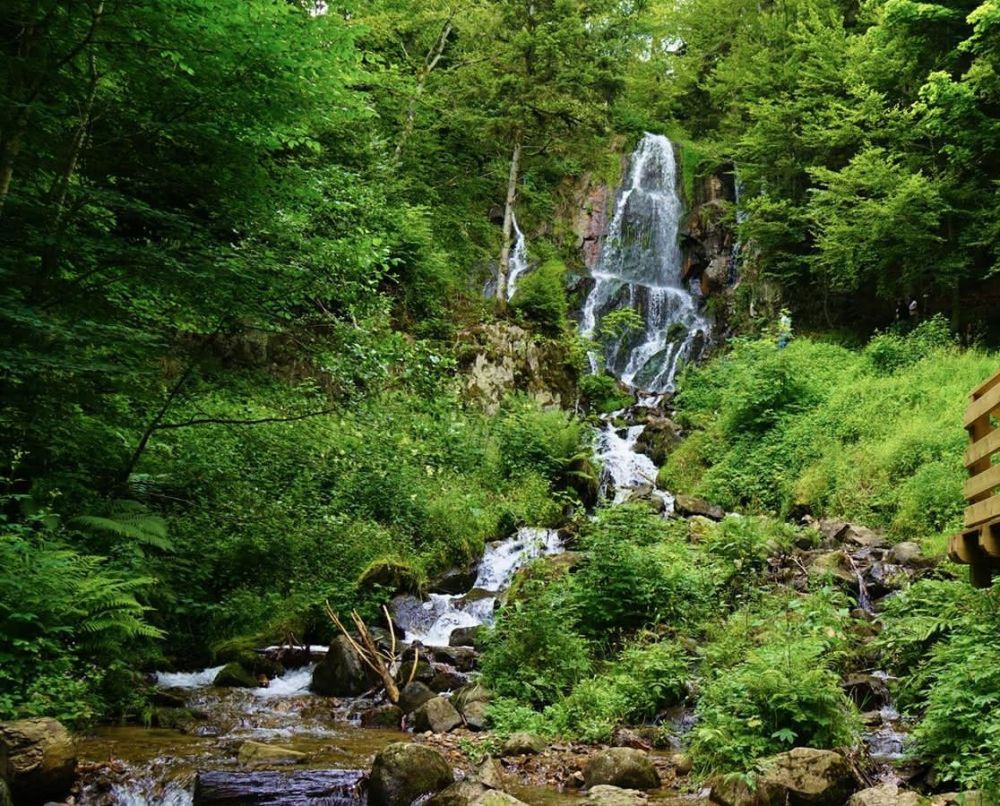 Lieu : Cascade du Hohwald