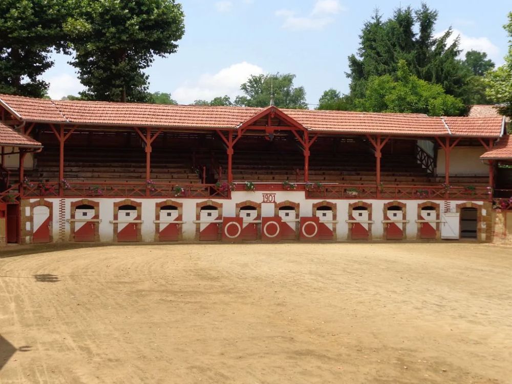 Lieu : Arènes d'Estang
