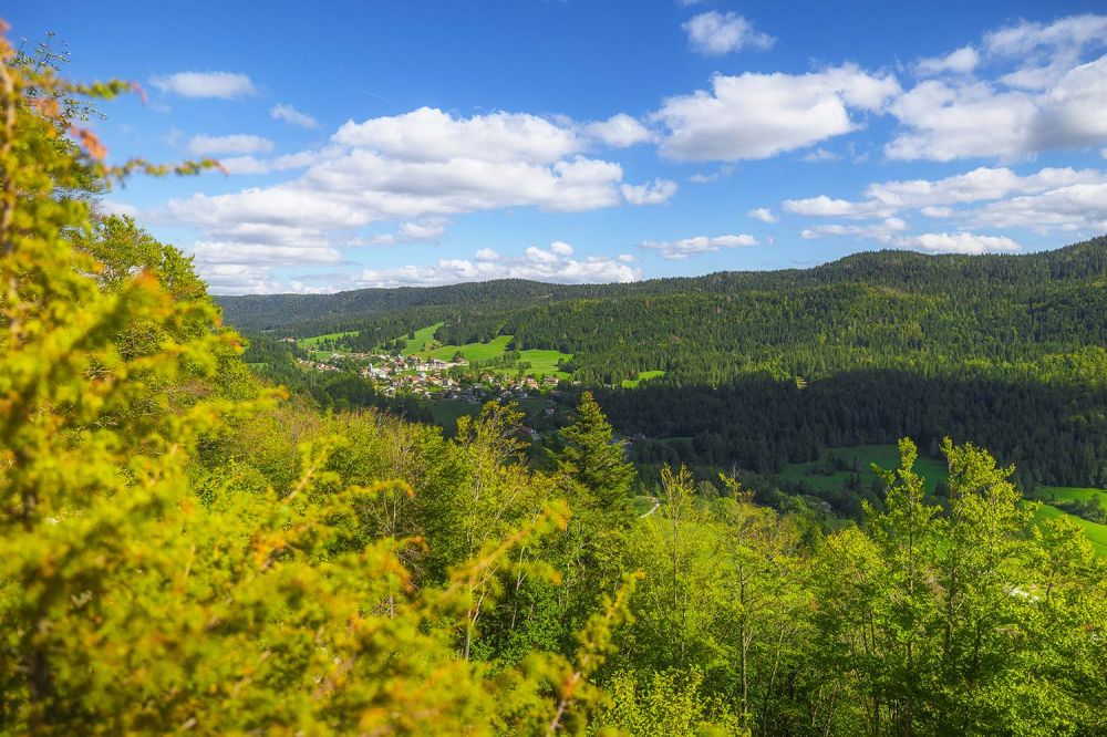 Lieu : Belvédère de la Roche Devant