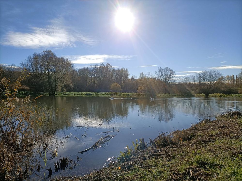 Lieu : Le Parc des 2 Canaux