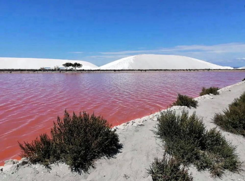 Lieu : Le Salin d'Aigues-Mortes
