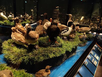 Lieu : Sigurgeir's Bird Museum