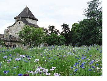 Château Vent d'Autan