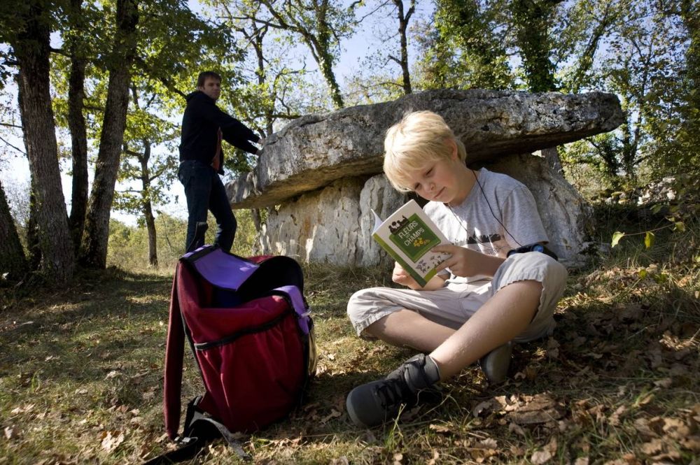 Dolmen de Pierre-Martine
