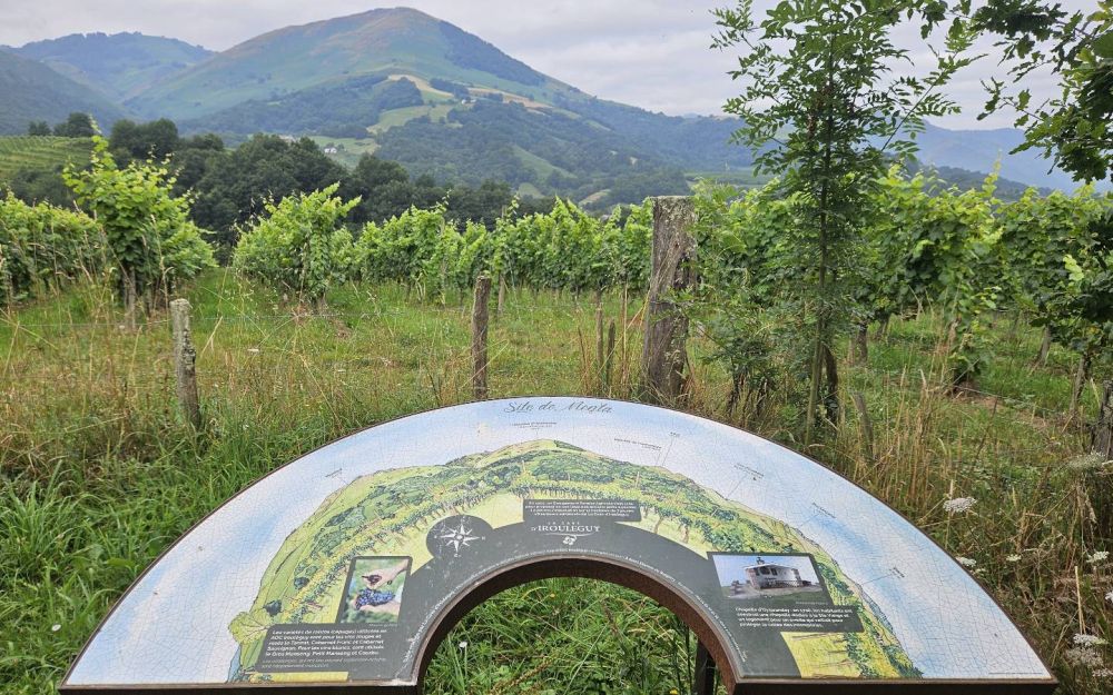 Lieu : Panorama de Menta
