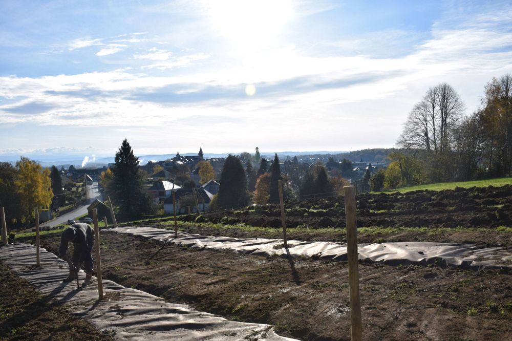 Belvédère du Puy Foissac