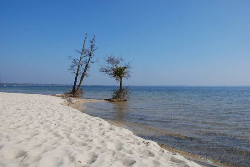 Plage de Cazaux Laouga