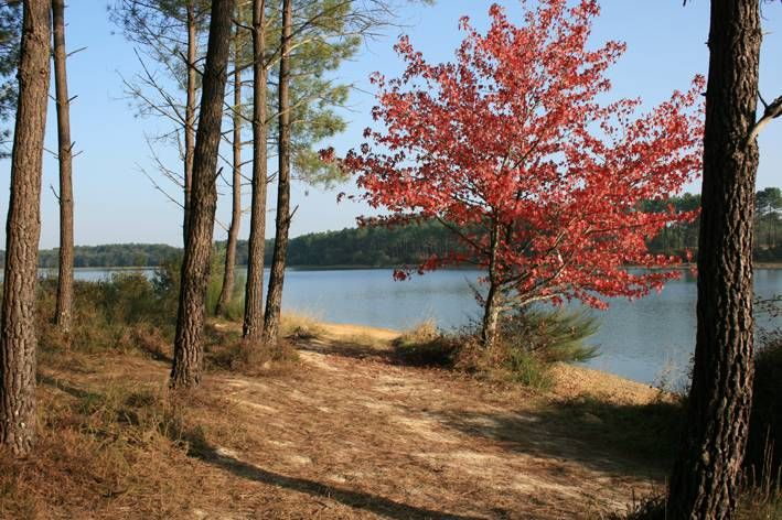 Lieu : Lac Peyrot