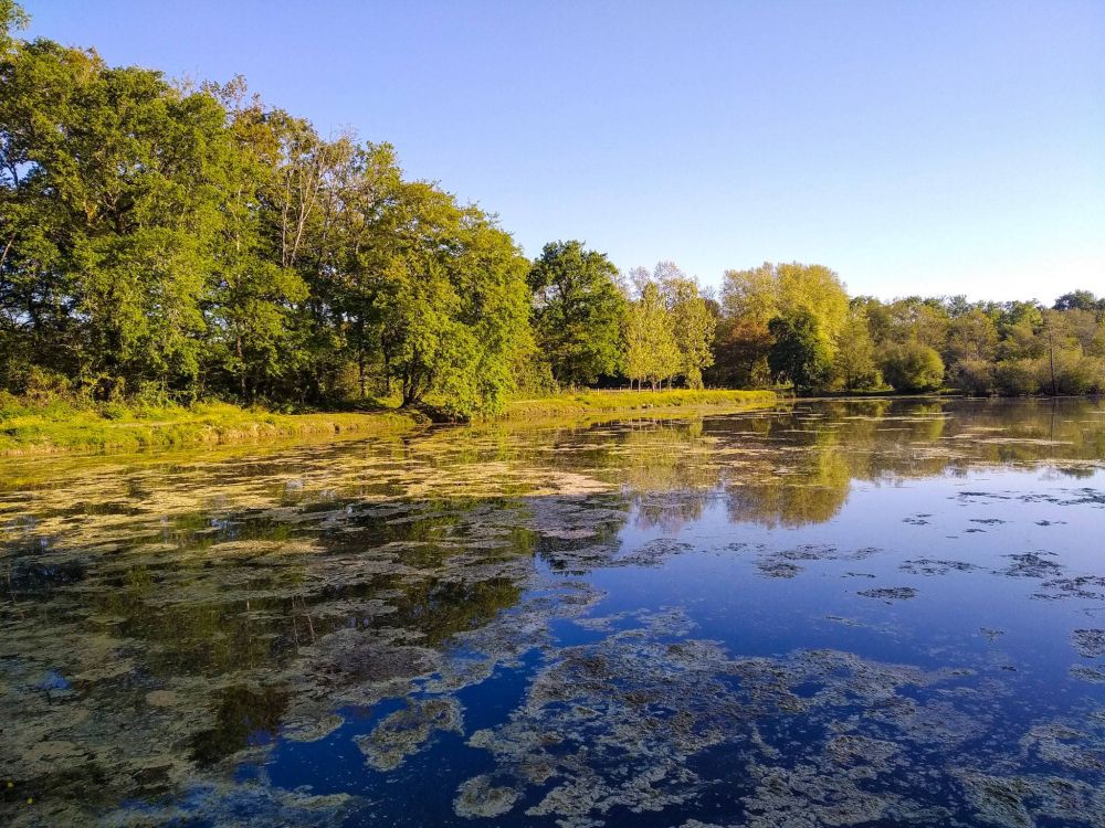 Lieu : Etangs de la Gravière