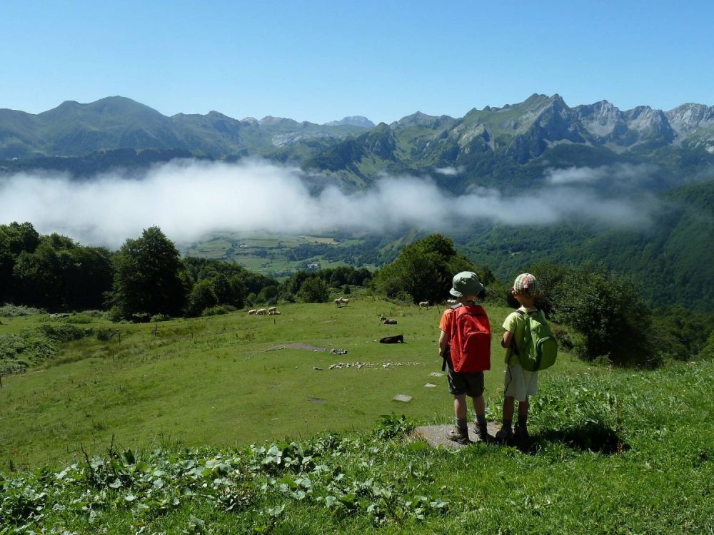 Lieu : La route géologique de la Vallée d'Aspe