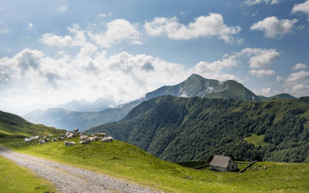 Lieu : Forêt d'Iraty : panoramas époustouflants