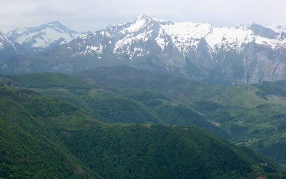 Le Belvédère du Monbula