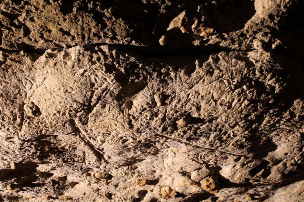 Grotte de Bara Bahau - Le Sanctuaire de l'Ours