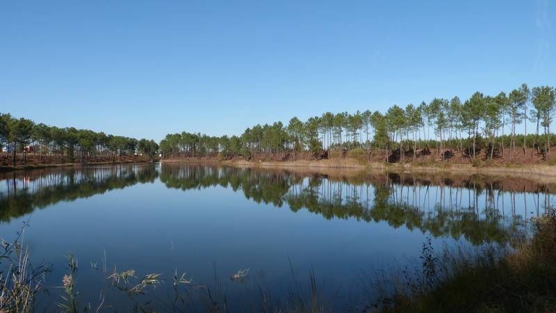 Lieu : Etang de Surgenne