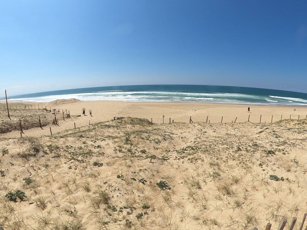 Lieu : Plage Naturiste (Océan)