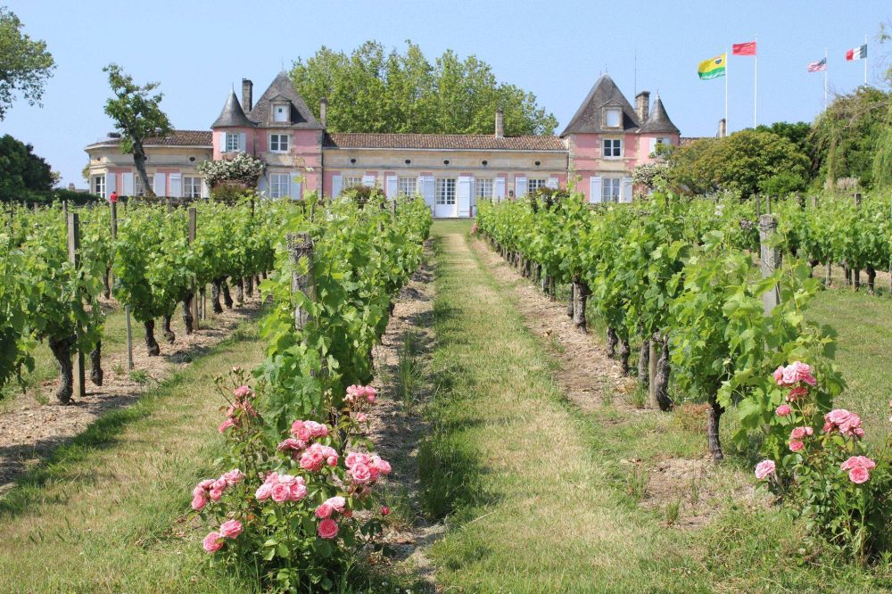 Lieu : Château Loudenne