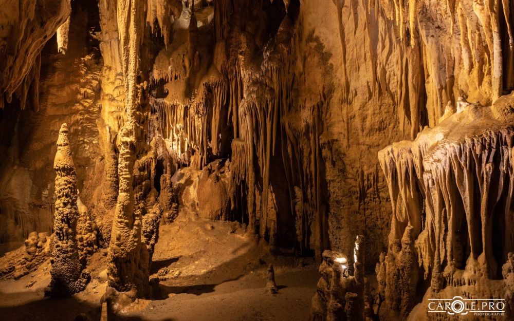 Lieu : Grottes Préhistoriques d'Isturitz et d'Oxocelhaya