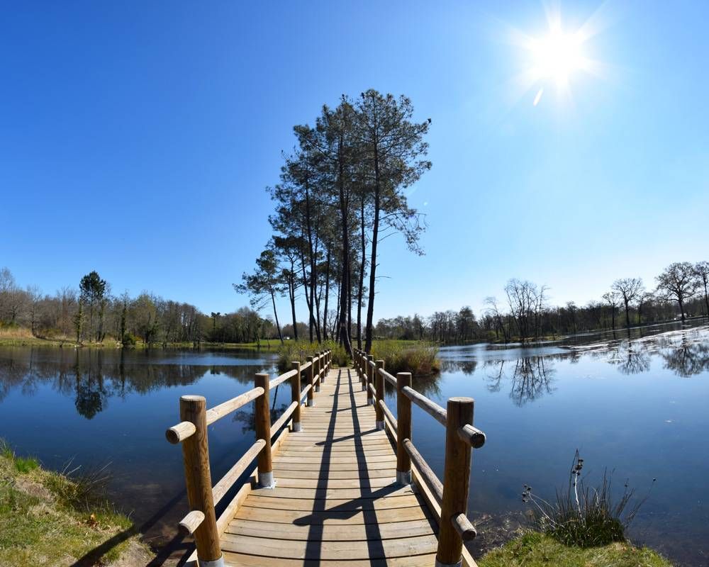 Lieu : Etang de la Glacière