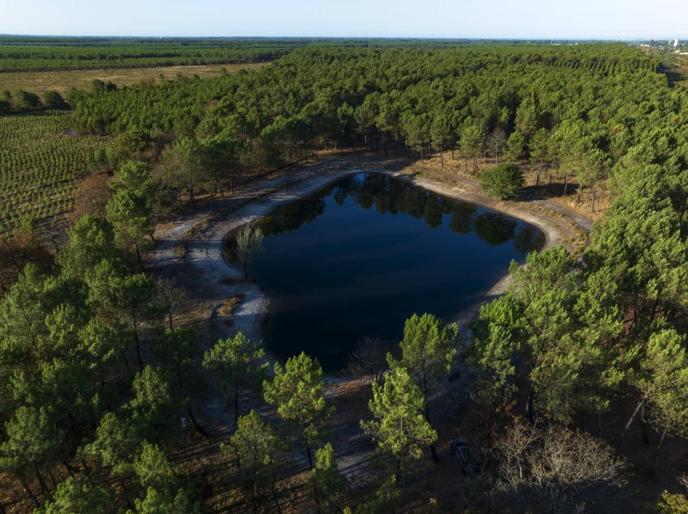 Lieu : Lac de Croix d'Hins