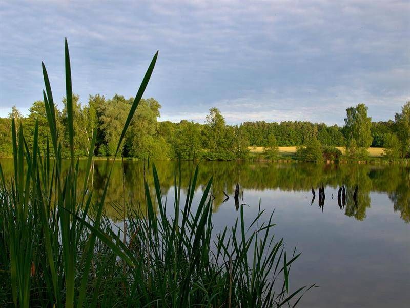 Lieu : Les marais du Warndt