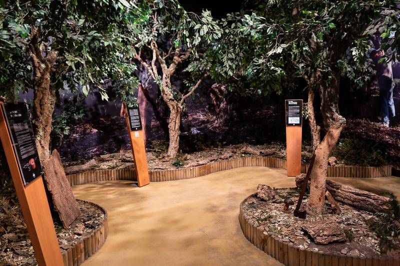 Musée du Liège et du Bouchon