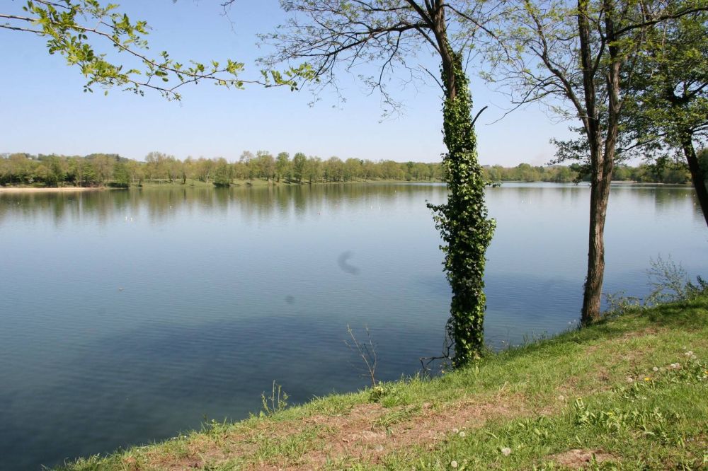 Lieu : Lac d'Orthez-Biron