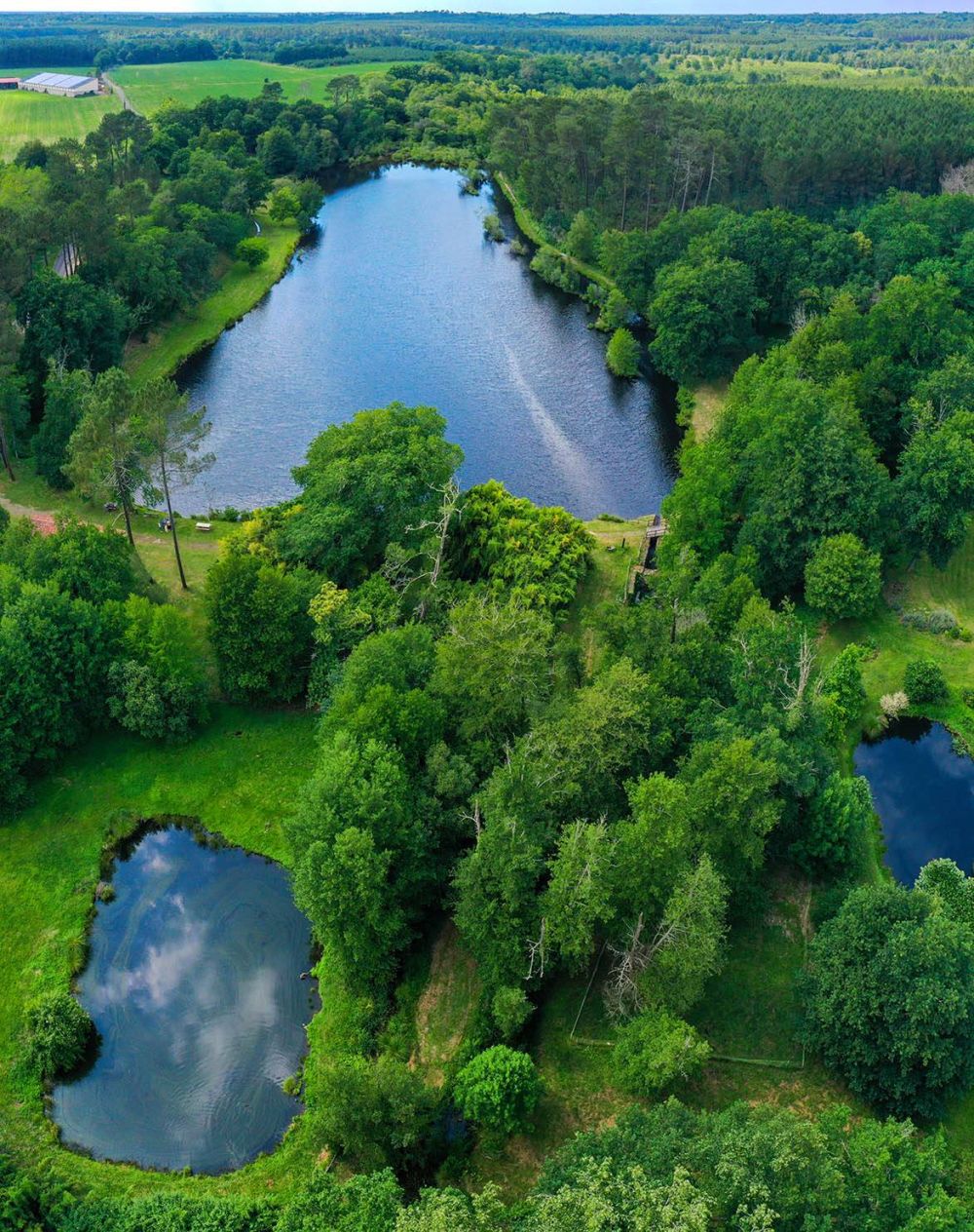 Lieu : Etang classé de Sainte-Foy